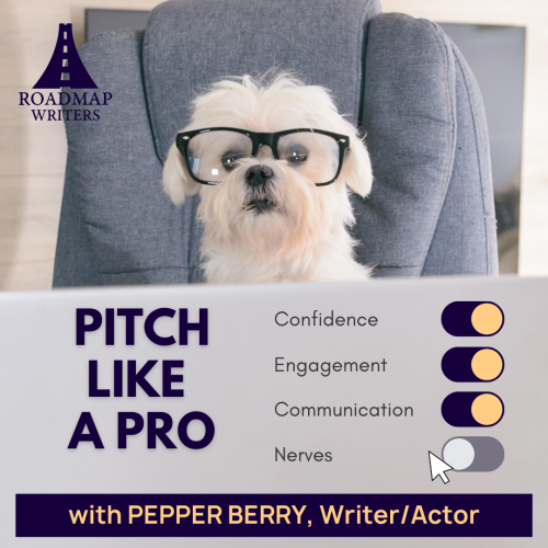 Pitch Like A Pro