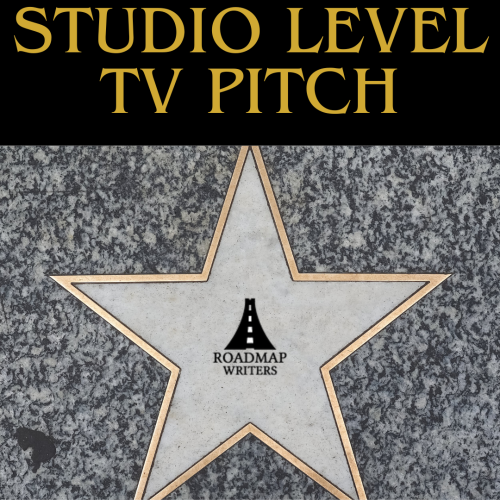 Studio Level TV Pitch